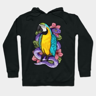 Macaw Like a boss Hoodie